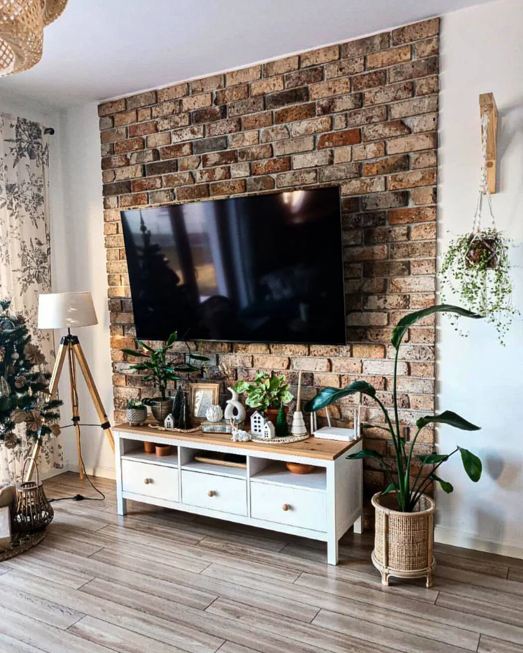 Lico gotyckie Śląskie w salonie w Rzeszowie - zdjęcie 2